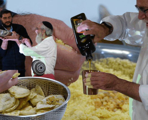 סדנת מנחות מעשית - חיות דקדושא