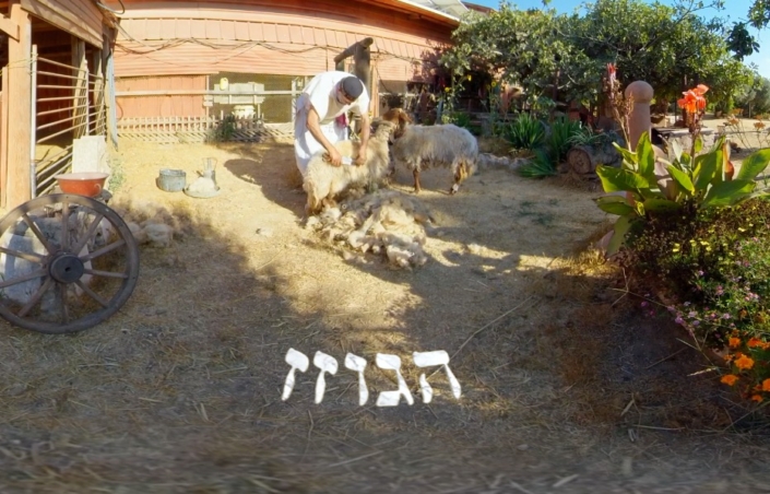 טעימה מהסרט VR - טל מלאכי הנוסע בזמנים